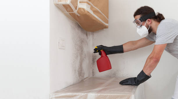 Professional Crawl Space Mold Removal technician working in Riverton, NJ
